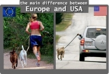 thumbs_europe-vs-usa-5