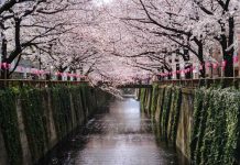 Small is beautiful: How a Japanese micro-turbine is transforming a Nepalese village