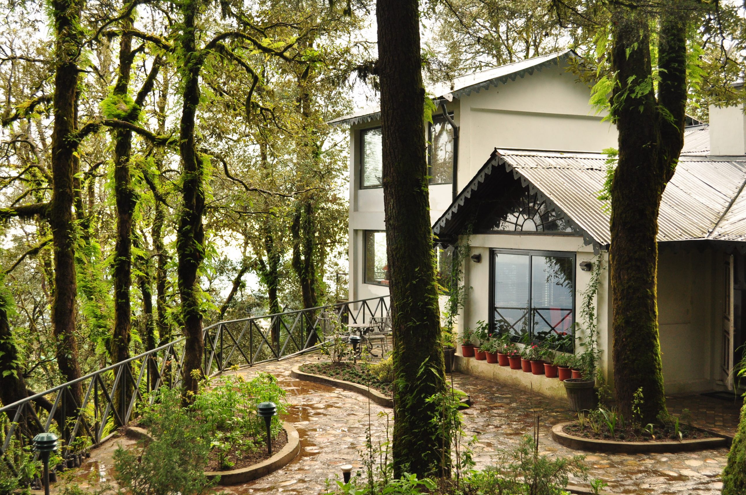 apps to watch live IPL